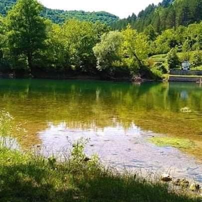 Flora&Fauna Bihać Esterno foto