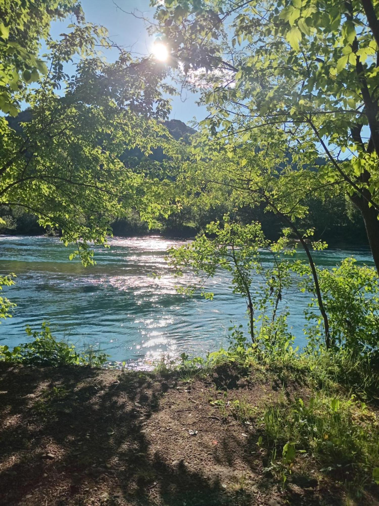 Flora&Fauna Bihać Esterno foto